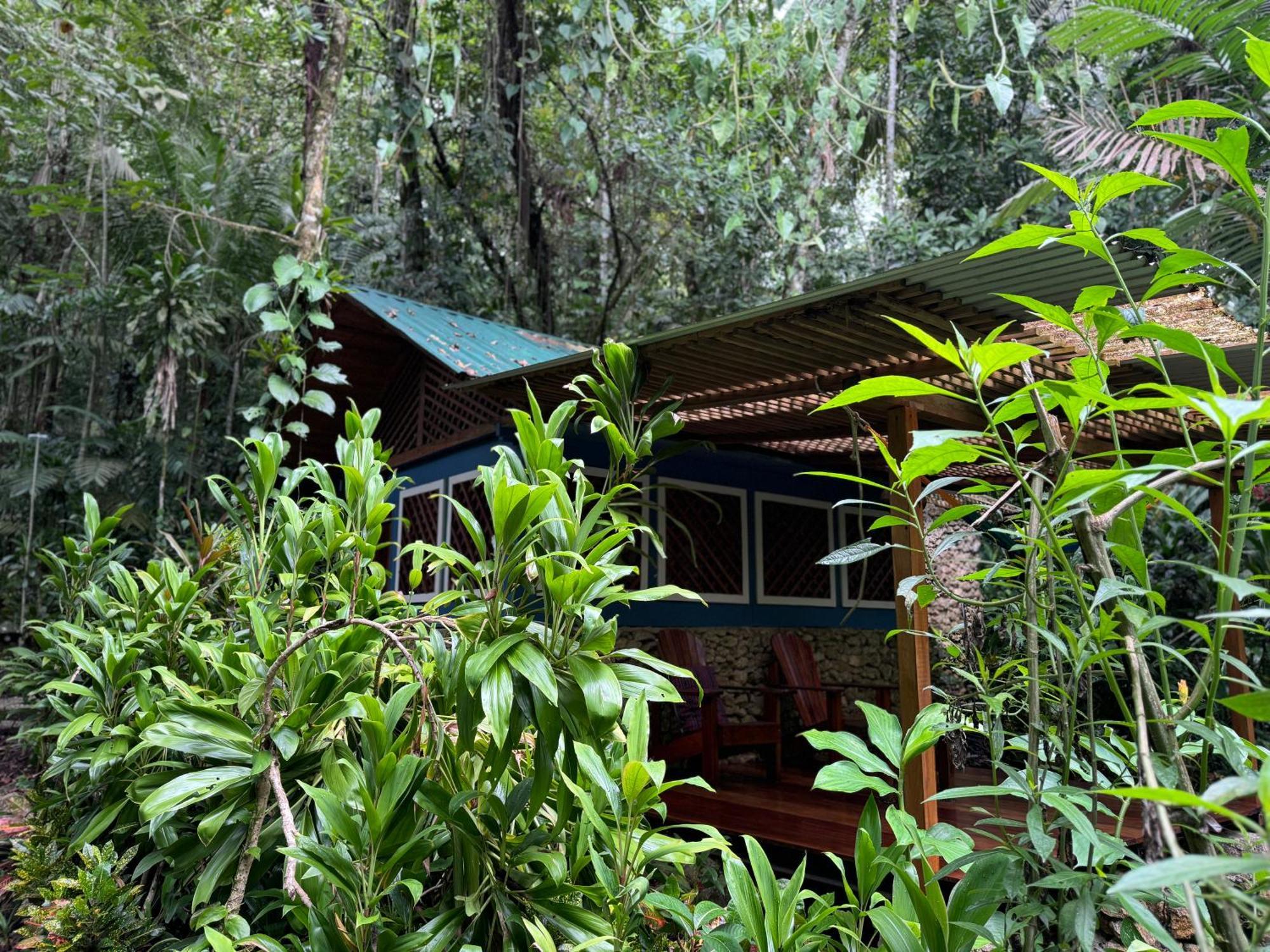 Finca Tatin Hotel Izabal Exterior photo