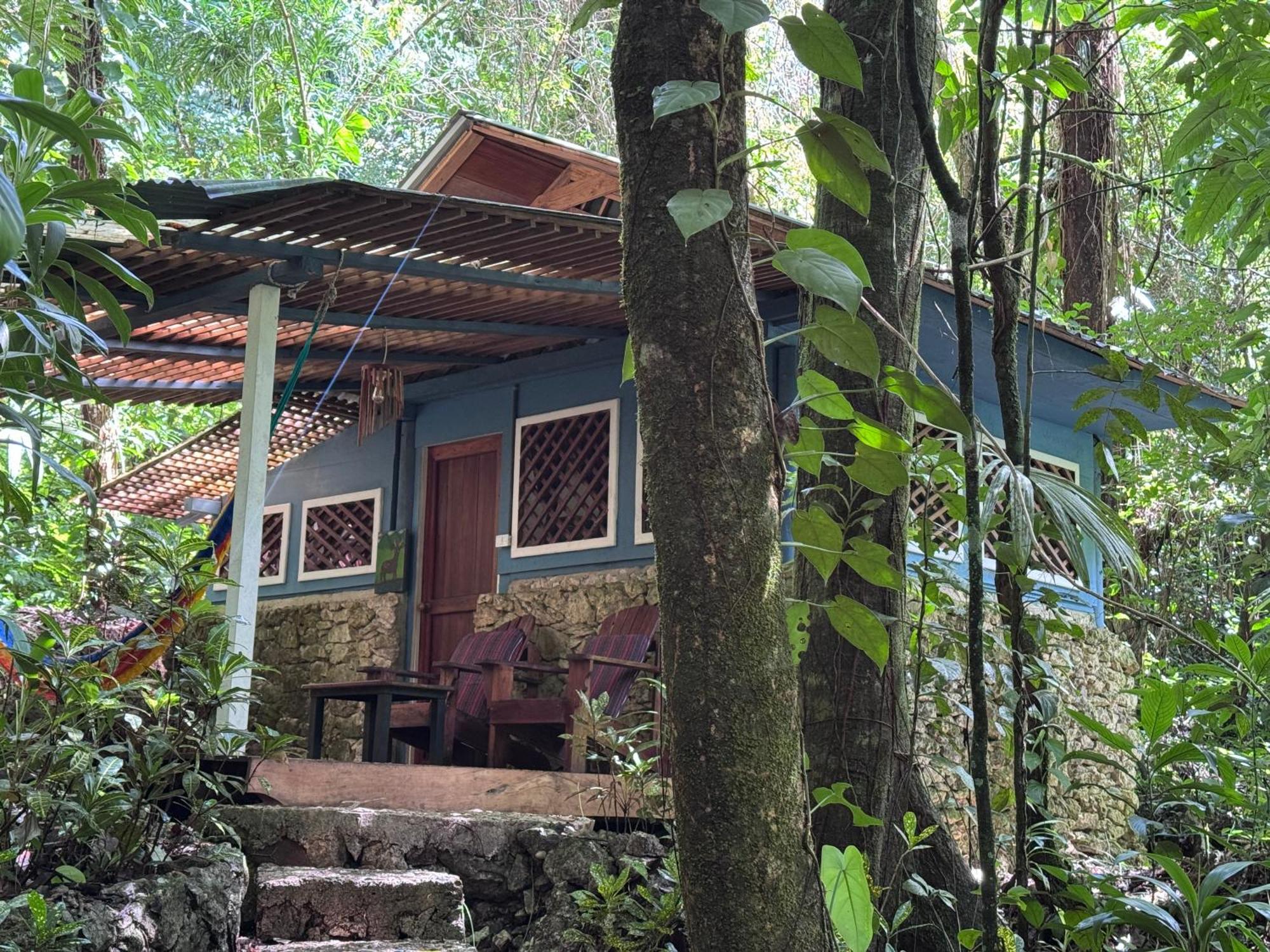 Finca Tatin Hotel Izabal Exterior photo